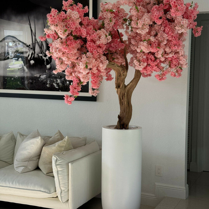 Pink Cherry Blossom Tree