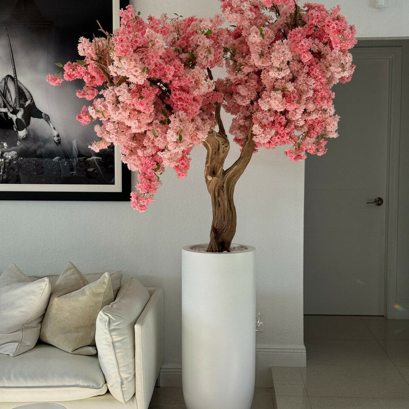 Pink Cherry Blossom Tree