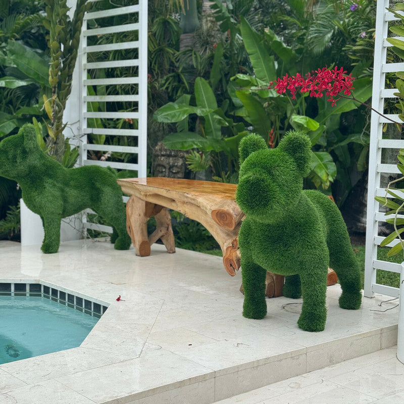 Artificial Turf Topiaries