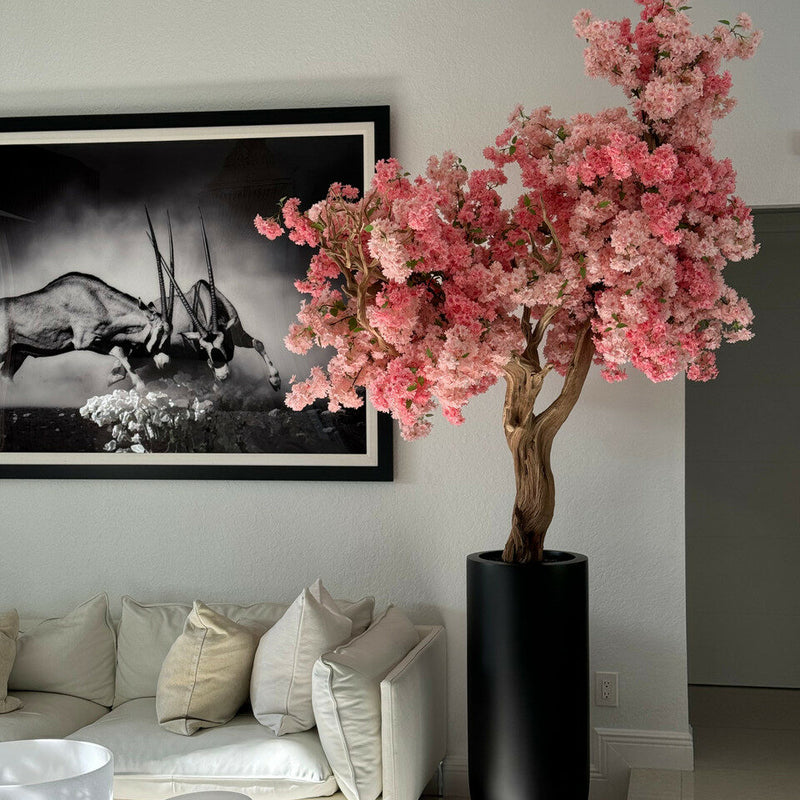 Pink Cherry Blossom Tree