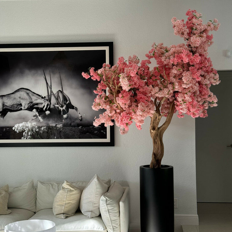 Pink Cherry Blossom Tree