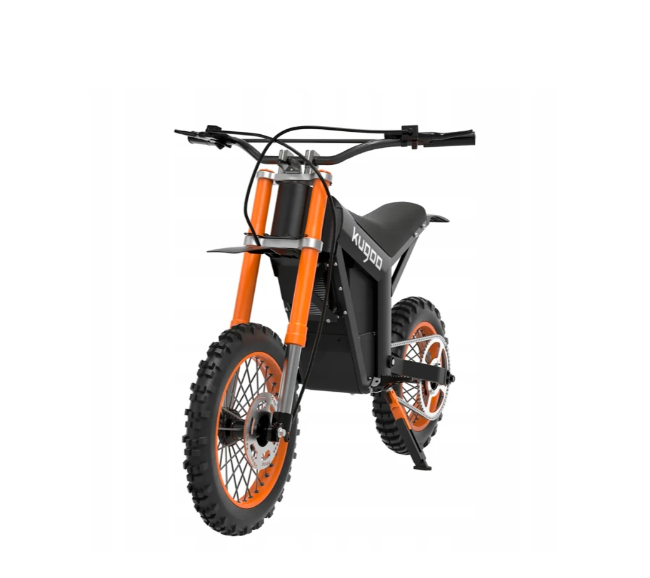 Wish Electric Bike