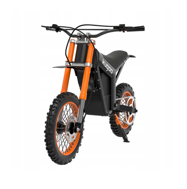 Wish Electric Bike