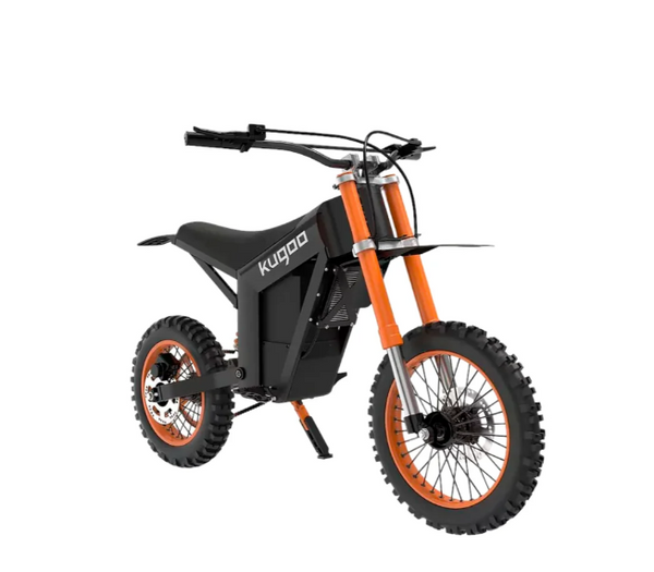 Wish Electric Bike