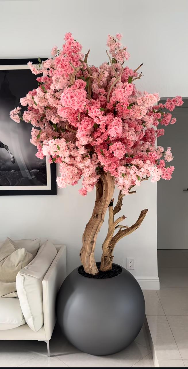 Pink Cherry Blossom Tree