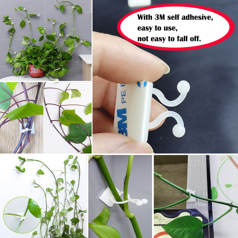 Plant Wall Climbing Fixing Clips (10PCS/30PCS/50PCS)