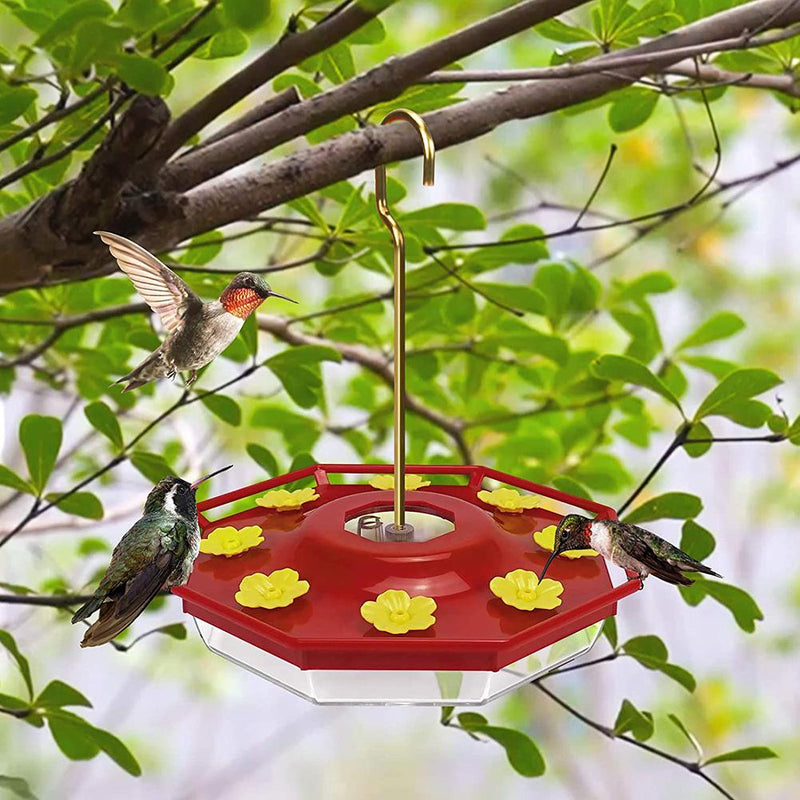 Hummingbird Feeder With Perch And Built-in Ant Moat