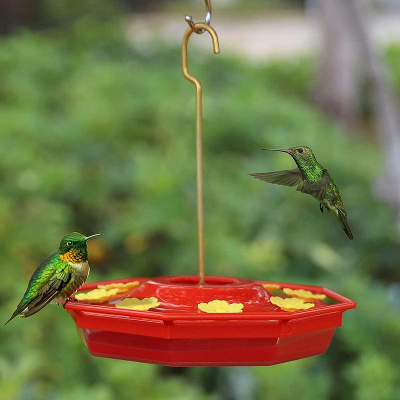 Hummingbird Feeder With Perch And Built-in Ant Moat