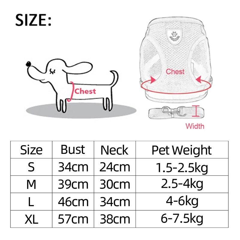 Adjustable Cat Harness and Leash