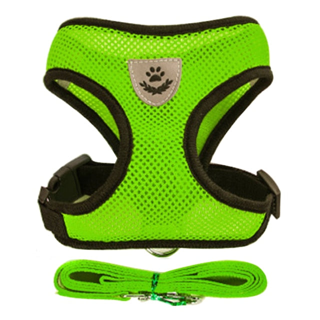 Adjustable Cat Harness and Leash