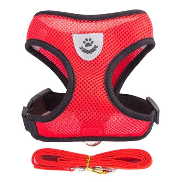 Adjustable Cat Harness and Leash