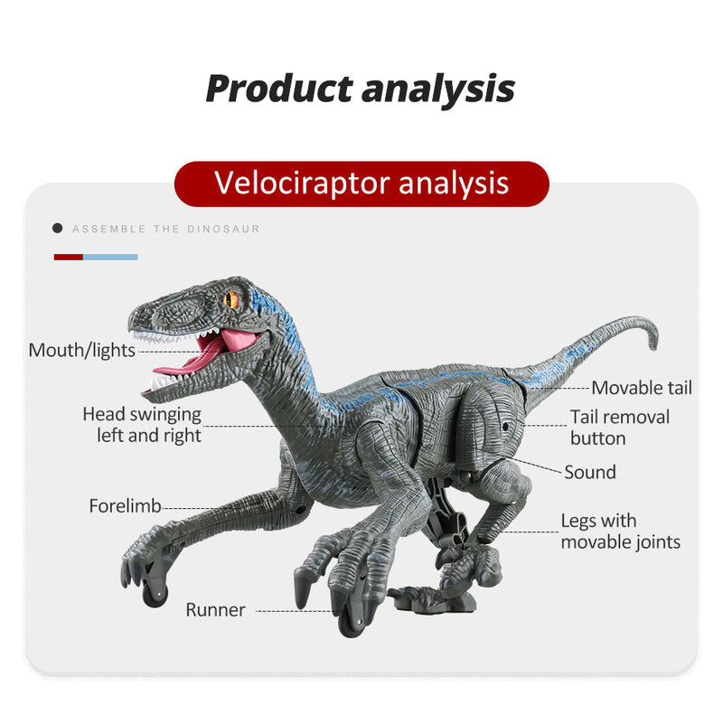 Remote Control Dinosaur Toys