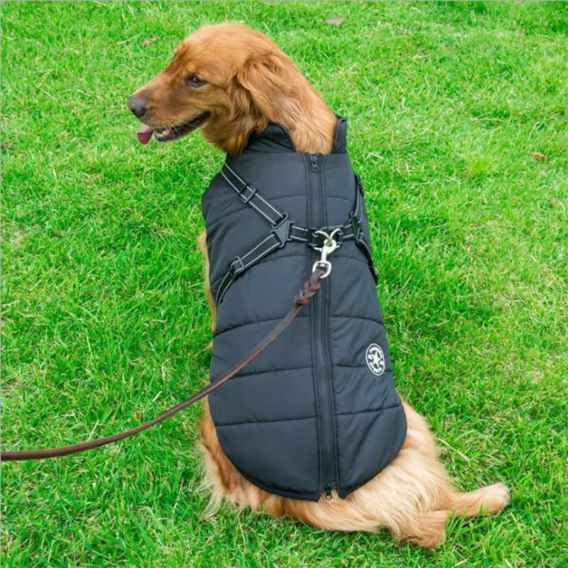 Waterproof Winter Jacket with Built-in Harness