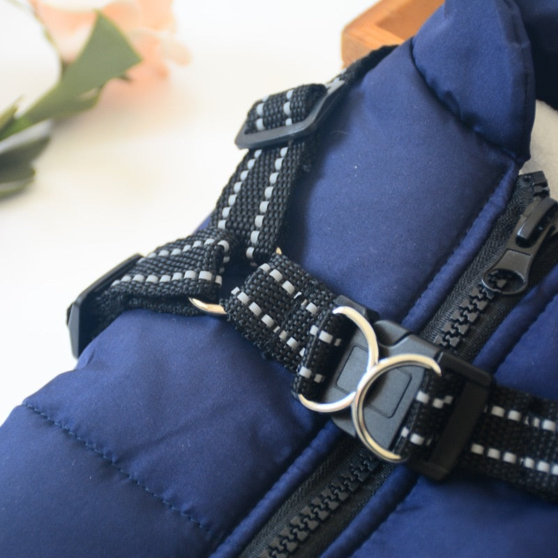 Waterproof Winter Jacket with Built-in Harness