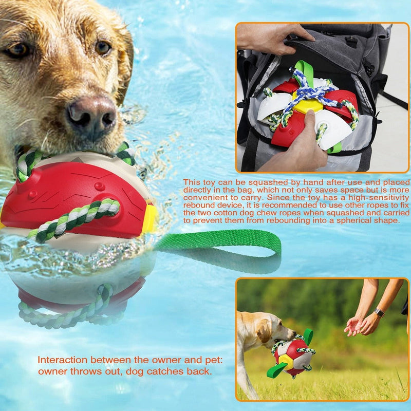 Dog Toys Soccer Ball