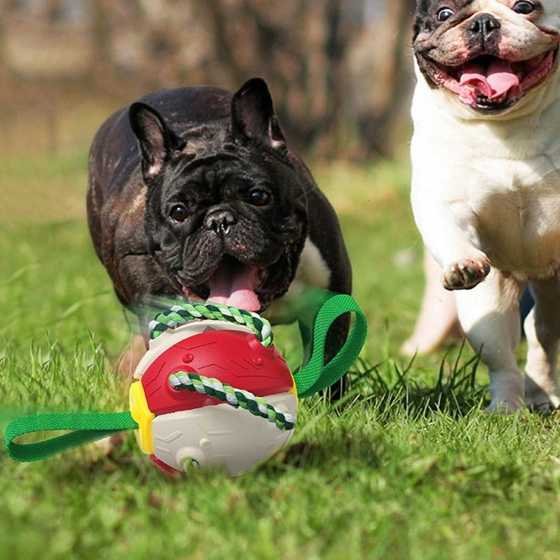 Dog Toys Soccer Ball